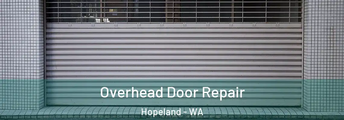 Overhead Door Repair Hopeland - WA