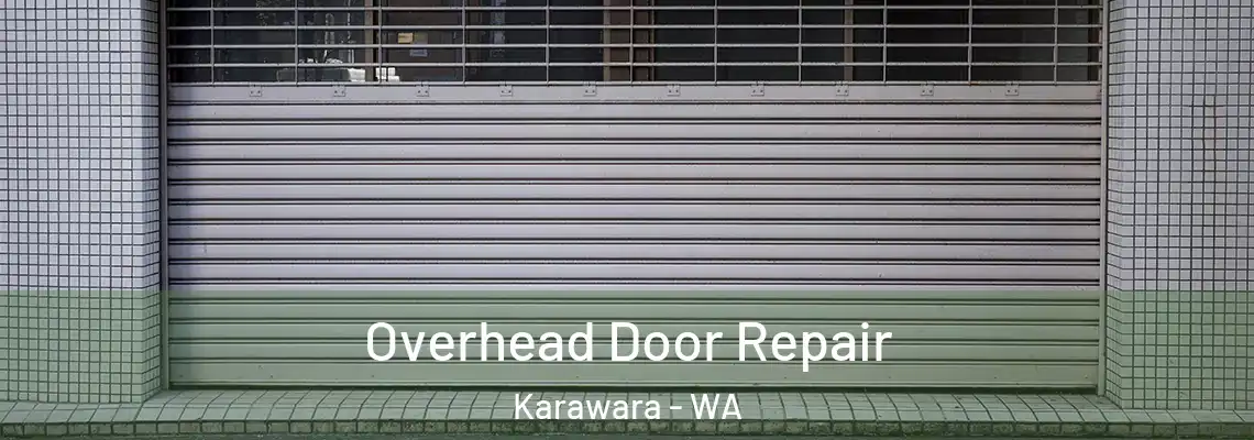 Overhead Door Repair Karawara - WA