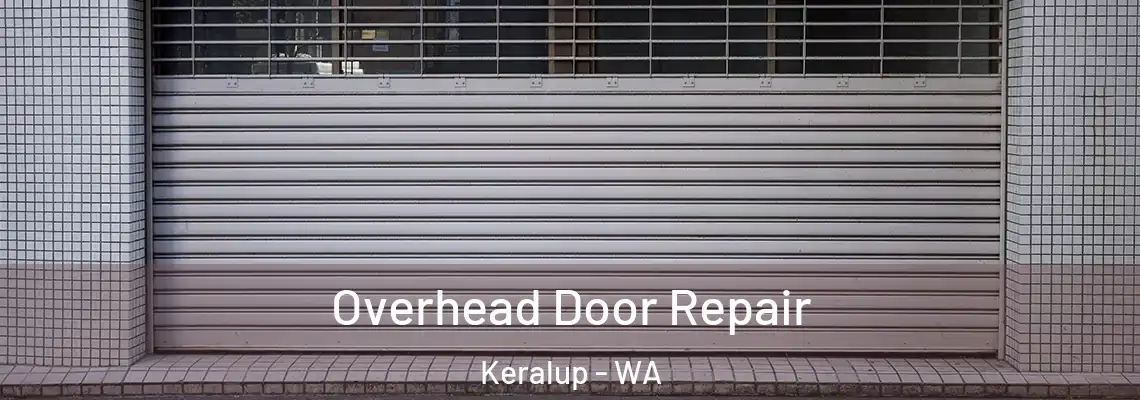 Overhead Door Repair Keralup - WA