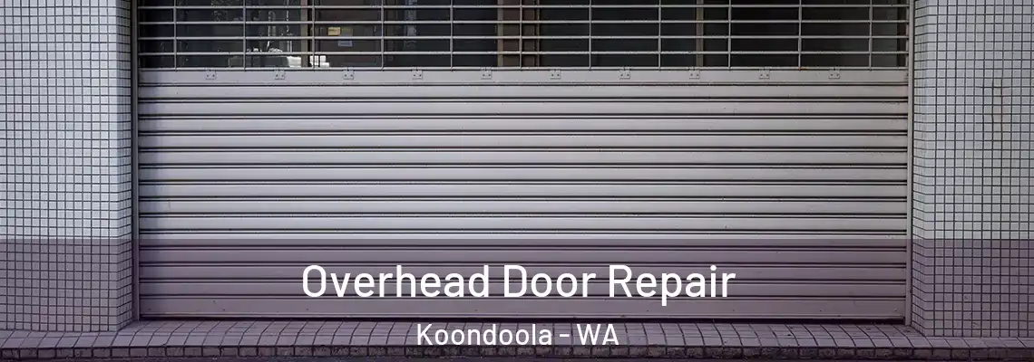 Overhead Door Repair Koondoola - WA