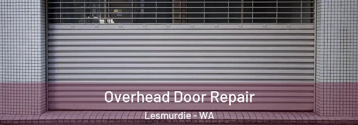 Overhead Door Repair Lesmurdie - WA