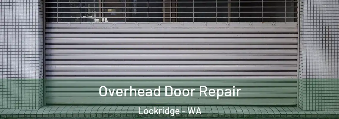 Overhead Door Repair Lockridge - WA