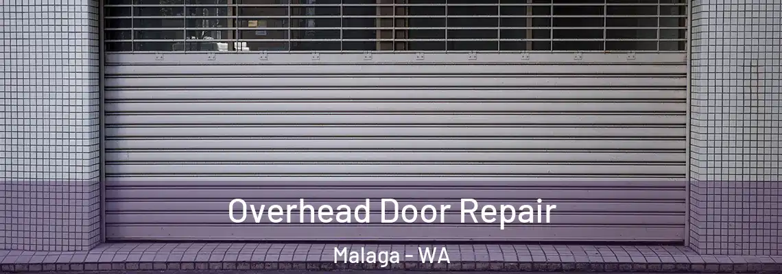 Overhead Door Repair Malaga - WA