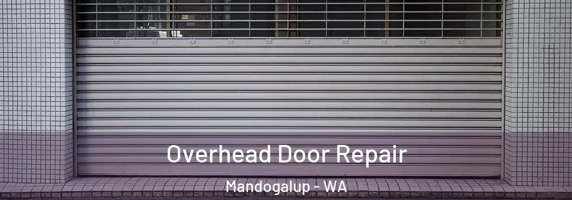 Overhead Door Repair Mandogalup - WA