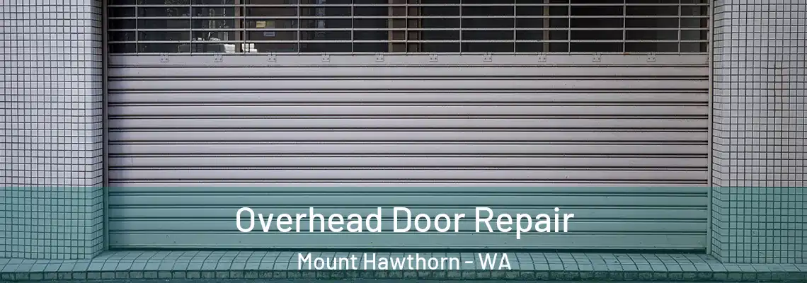 Overhead Door Repair Mount Hawthorn - WA