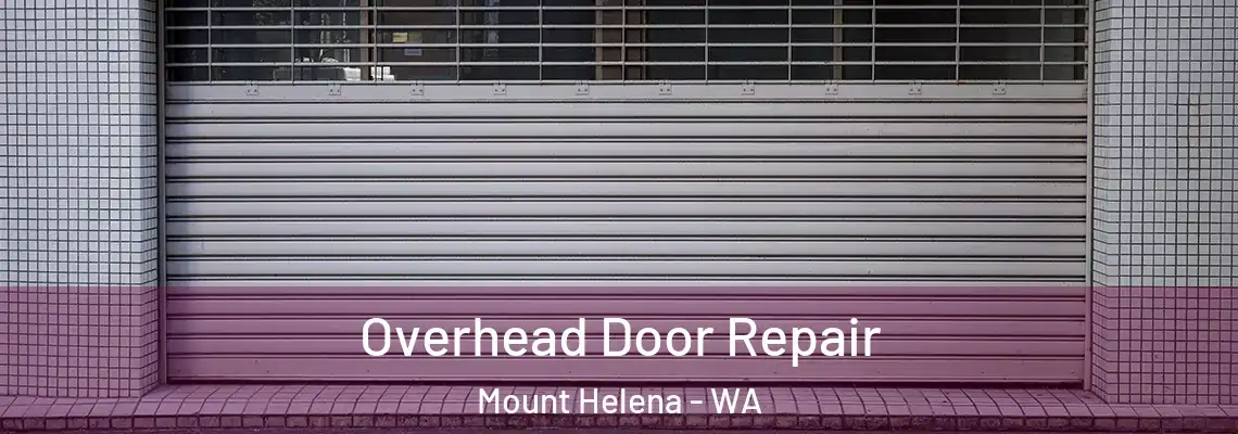 Overhead Door Repair Mount Helena - WA