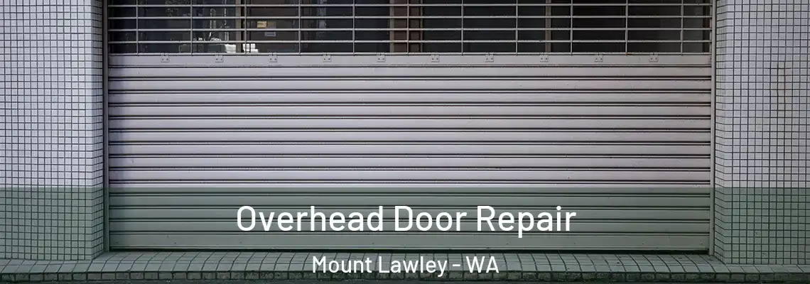 Overhead Door Repair Mount Lawley - WA
