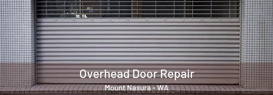 Overhead Door Repair Mount Nasura - WA