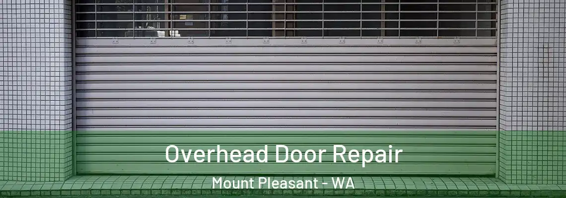 Overhead Door Repair Mount Pleasant - WA