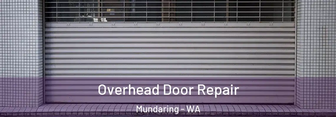 Overhead Door Repair Mundaring - WA