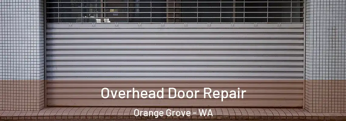Overhead Door Repair Orange Grove - WA