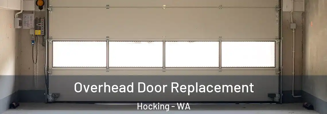 Overhead Door Replacement Hocking - WA