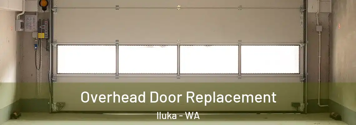 Overhead Door Replacement Iluka - WA