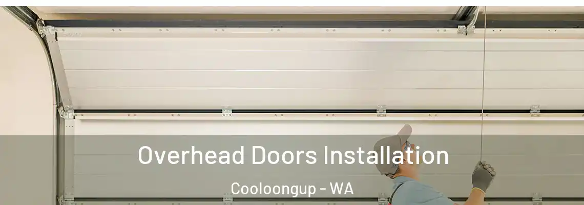  Overhead Doors Installation Cooloongup - WA