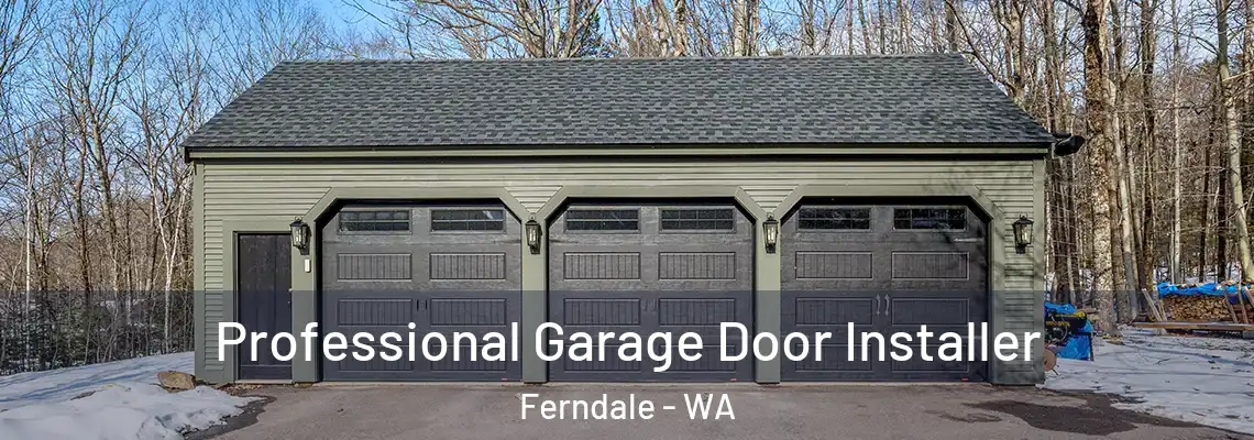 Professional Garage Door Installer Ferndale - WA
