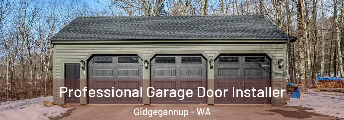 Professional Garage Door Installer Gidgegannup - WA