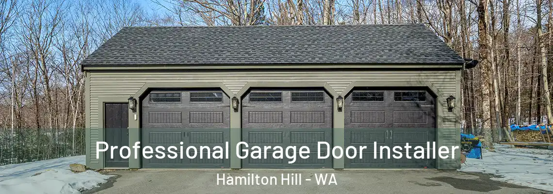 Professional Garage Door Installer Hamilton Hill - WA