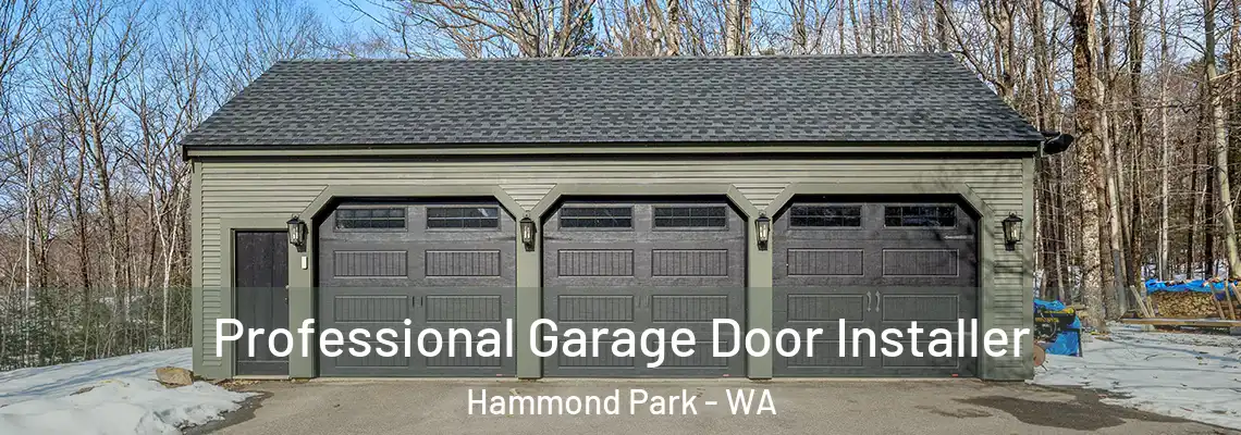  Professional Garage Door Installer Hammond Park - WA