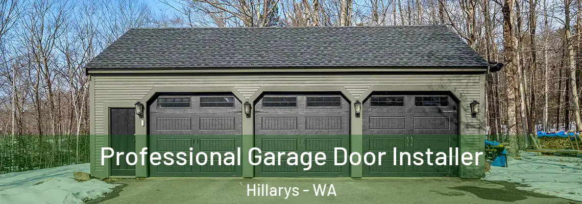 Professional Garage Door Installer Hillarys - WA