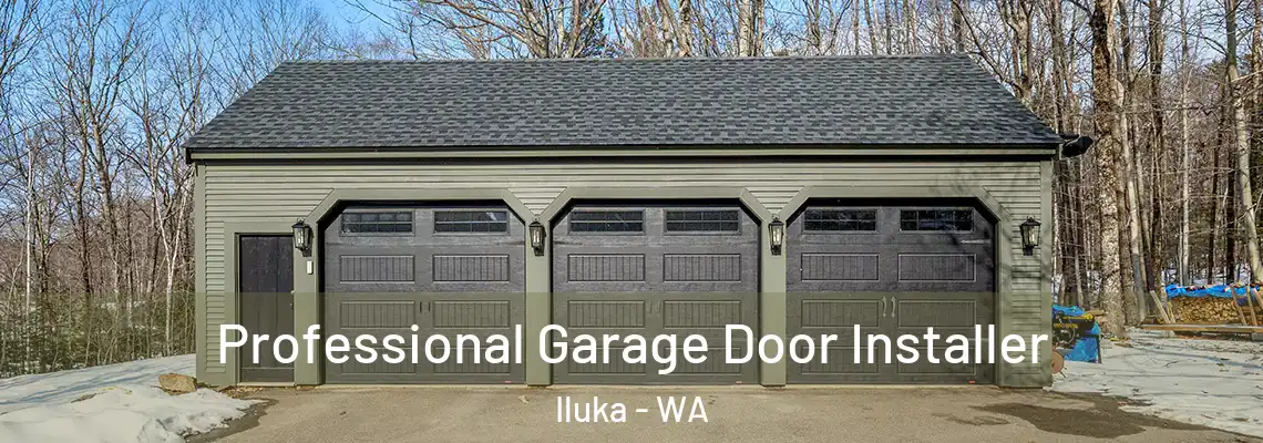 Professional Garage Door Installer Iluka - WA