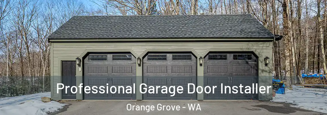 Professional Garage Door Installer Orange Grove - WA
