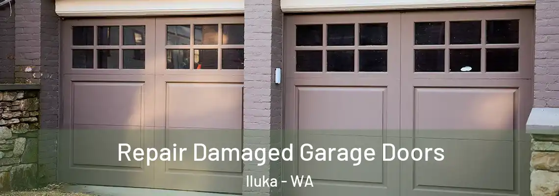  Repair Damaged Garage Doors Iluka - WA