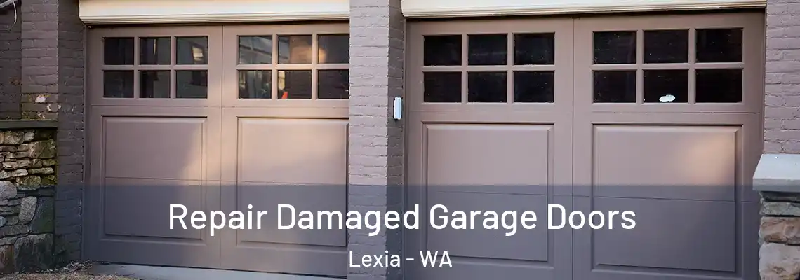 Repair Damaged Garage Doors Lexia - WA