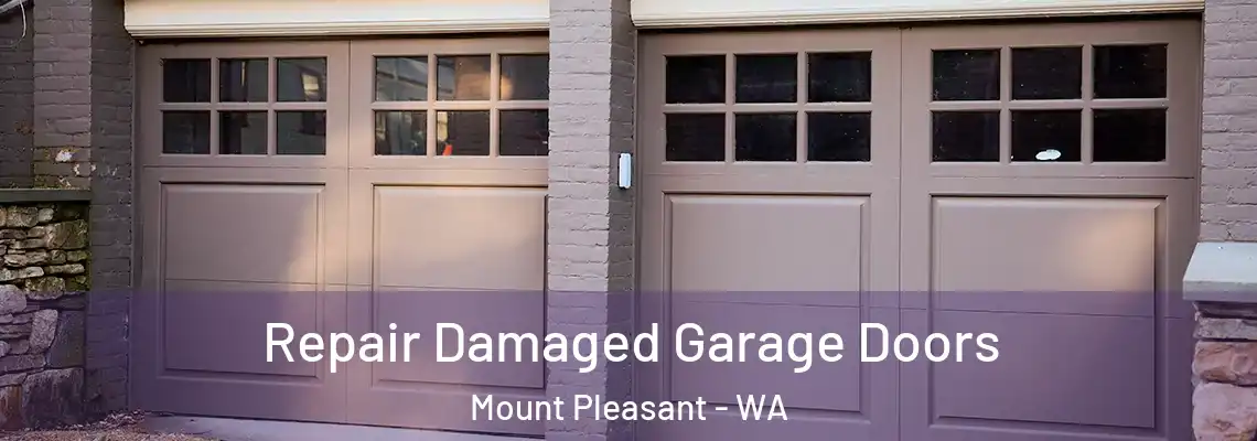 Repair Damaged Garage Doors Mount Pleasant - WA