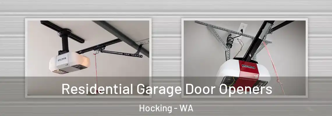 Residential Garage Door Openers Hocking - WA