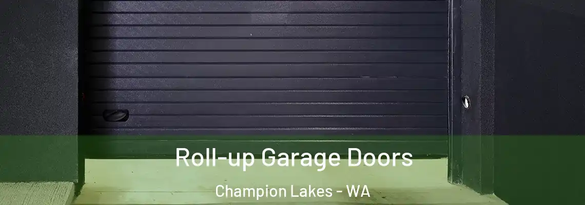 Roll-up Garage Doors Champion Lakes - WA