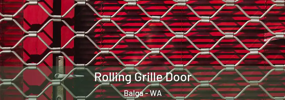 Rolling Grille Door Balga - WA