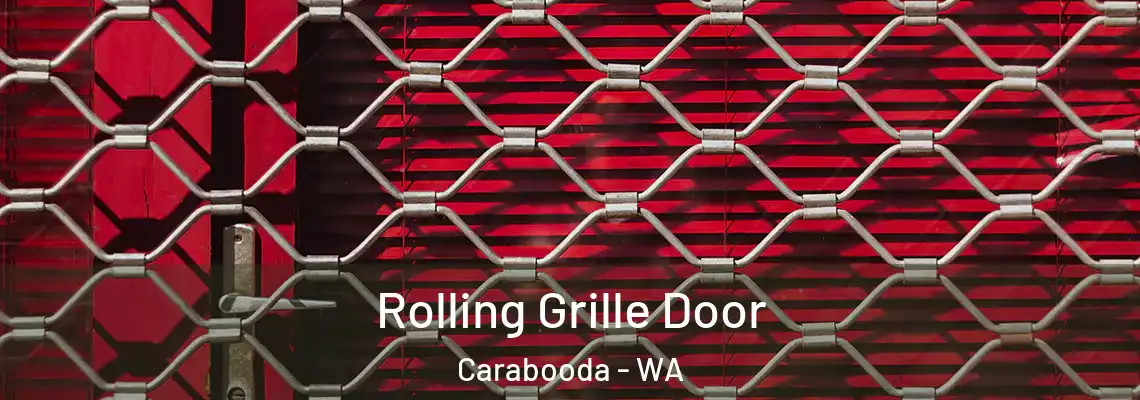 Rolling Grille Door Carabooda - WA
