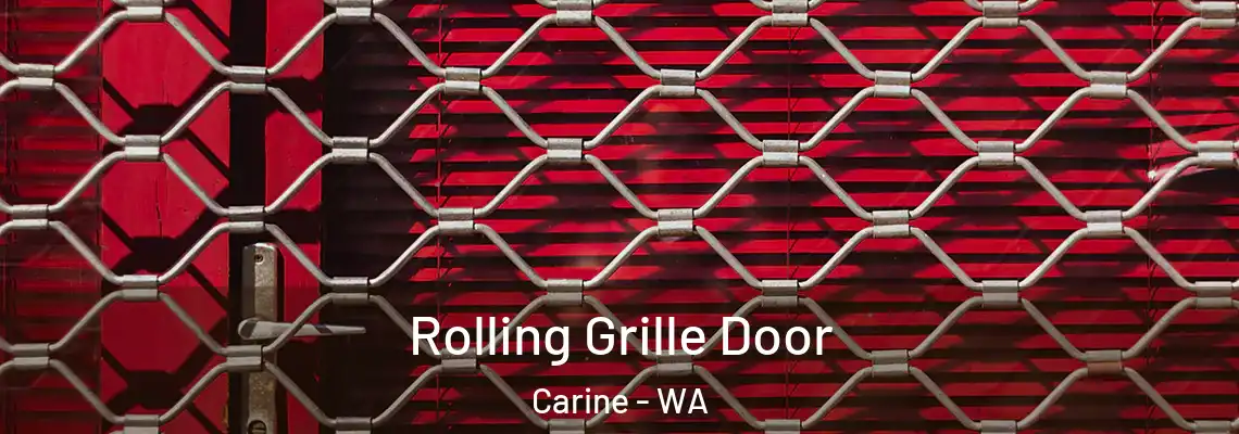 Rolling Grille Door Carine - WA