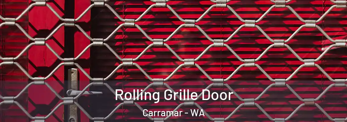Rolling Grille Door Carramar - WA