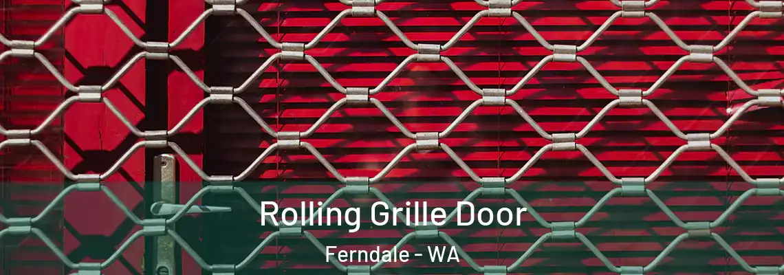 Rolling Grille Door Ferndale - WA