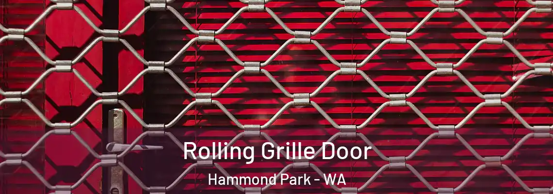 Rolling Grille Door Hammond Park - WA