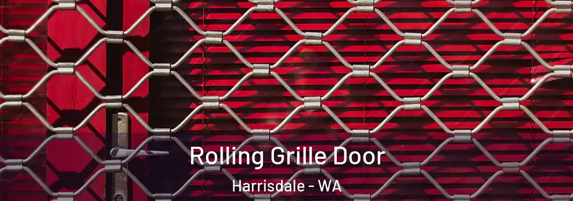 Rolling Grille Door Harrisdale - WA