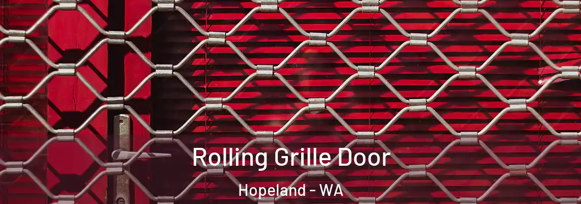 Rolling Grille Door Hopeland - WA