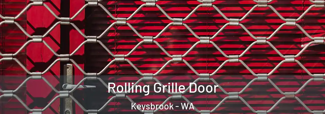 Rolling Grille Door Keysbrook - WA