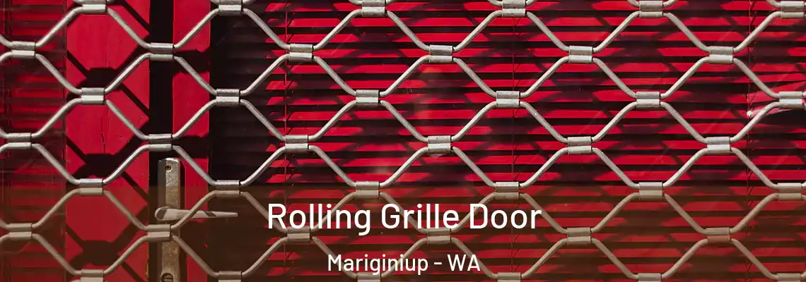 Rolling Grille Door Mariginiup - WA