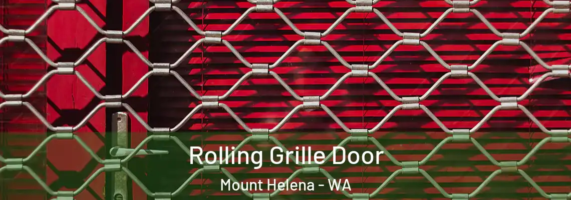 Rolling Grille Door Mount Helena - WA