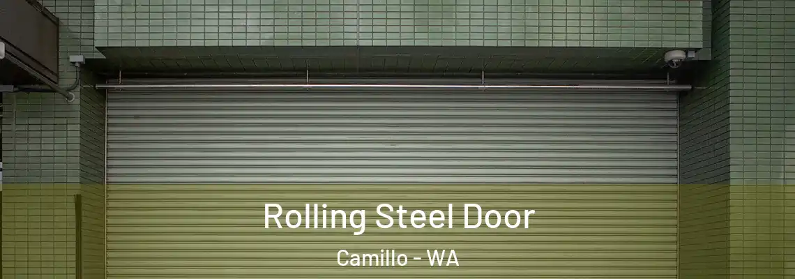 Rolling Steel Door Camillo - WA
