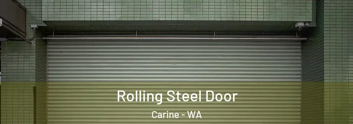 Rolling Steel Door Carine - WA