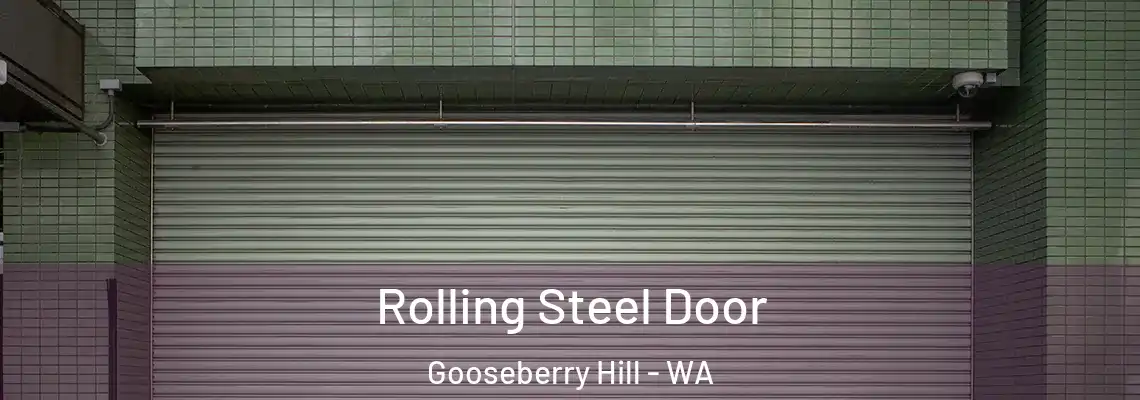  Rolling Steel Door Gooseberry Hill - WA