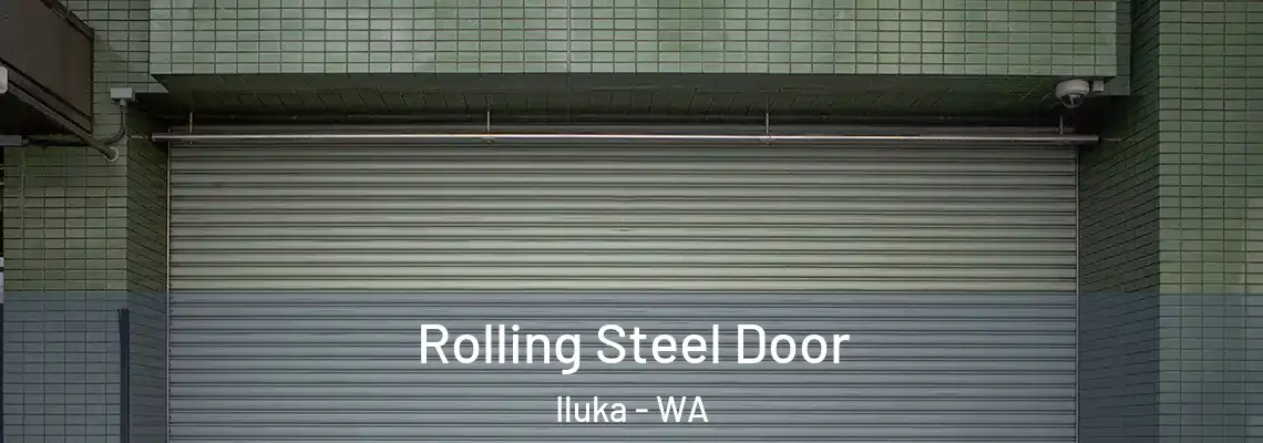 Rolling Steel Door Iluka - WA