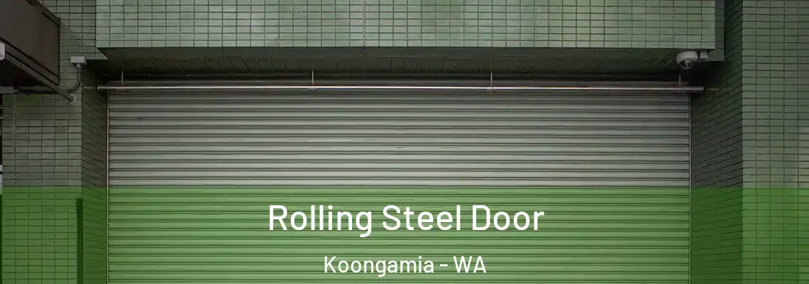 Rolling Steel Door Koongamia - WA