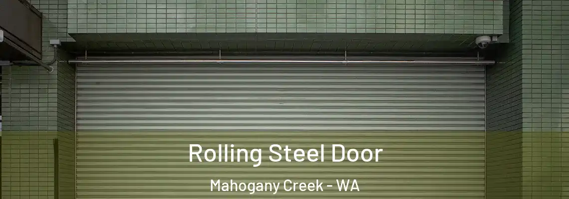 Rolling Steel Door Mahogany Creek - WA