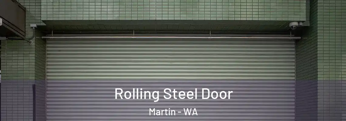 Rolling Steel Door Martin - WA