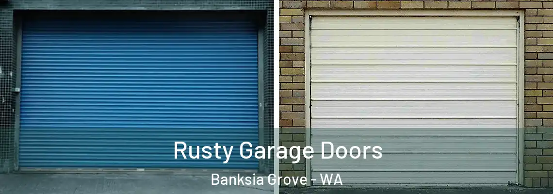 Rusty Garage Doors Banksia Grove - WA