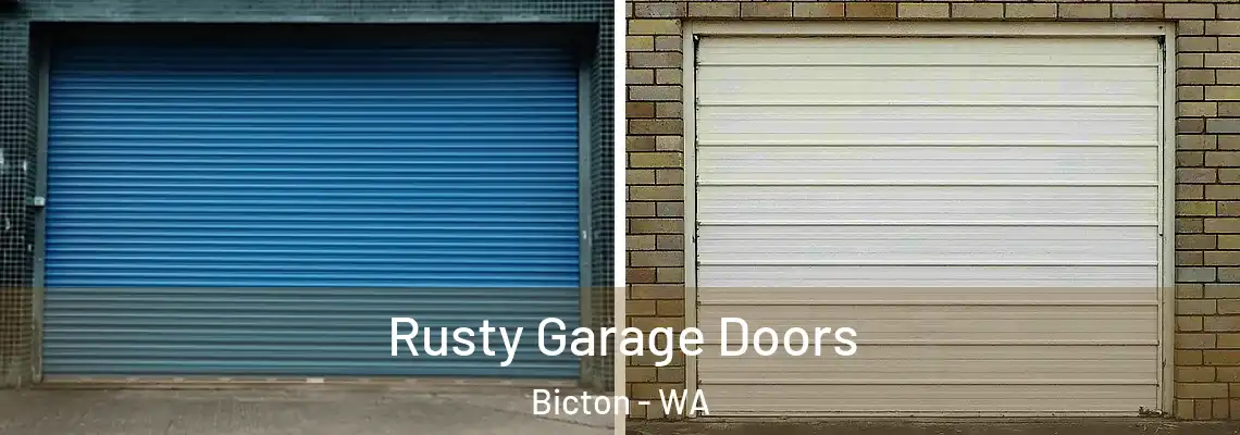 Rusty Garage Doors Bicton - WA